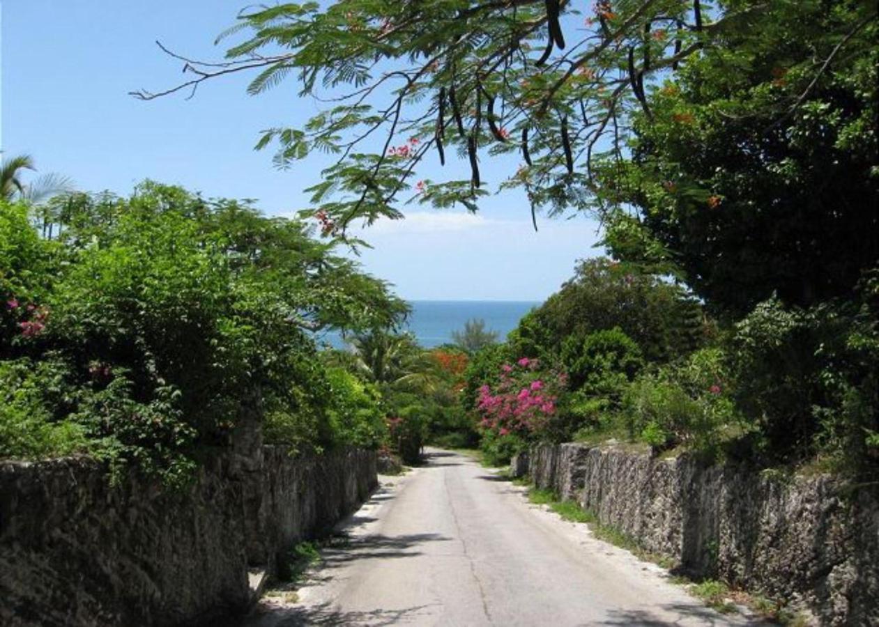 Buttonwood Reserve By Eleuthera Vacation Rentals Governor's Harbour Buitenkant foto